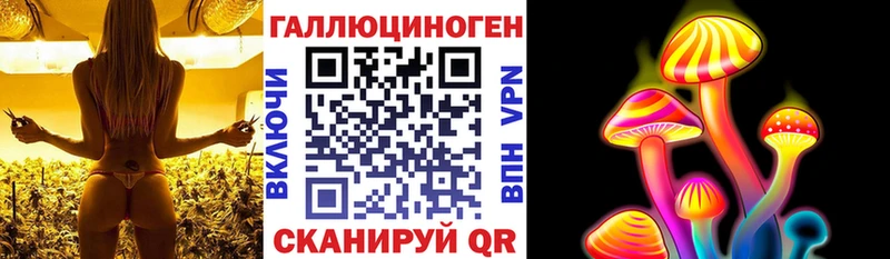 закладки  Дубовка  Галлюциногенные грибы Magic Shrooms 