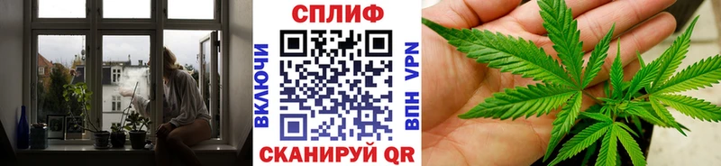 Каннабис тримм  как найти наркотики  Дубовка 